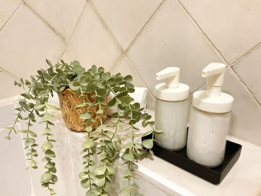 Ks Costa Mayka - San Jose - Kaleria Suites Ngoại thất bức ảnh